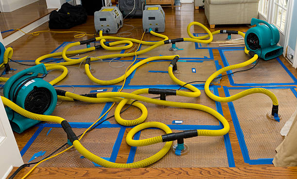 Professional Crawl Space Water Removal technician working in Fulton, MI